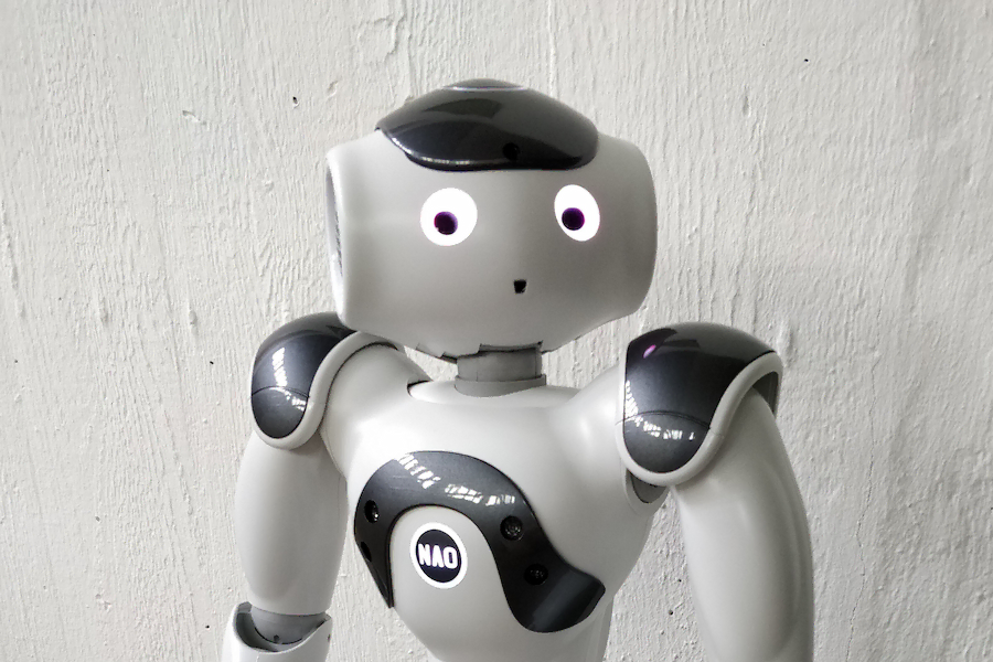 Writing textbooks about NAO6